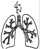 LUNGS2.gif